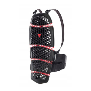 Protektor pleców typu żółw Dainese Pro-Armor 2.0