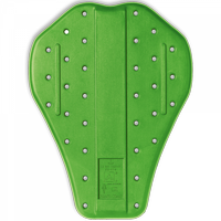 zielony