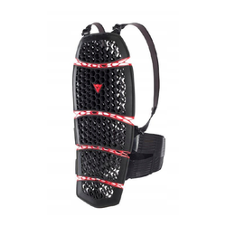 Protektor pleców typu żółw Dainese Pro-Armor 2.0